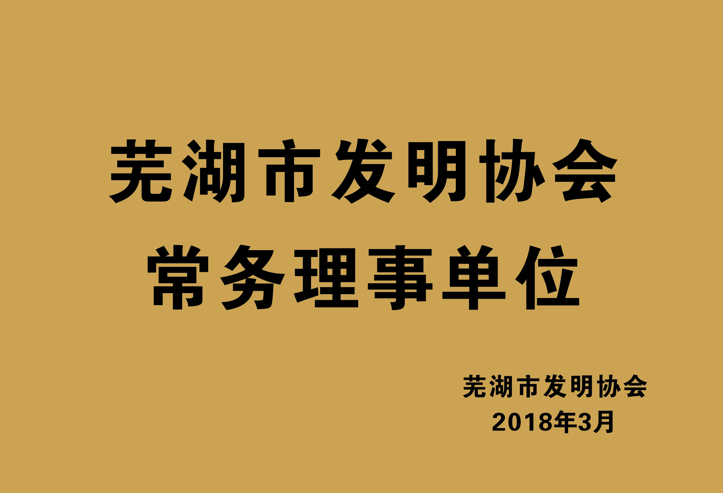 蕪湖市發(fā)明協(xié)會常務(wù)理事單位