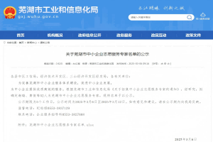 公司團隊人員入選蕪湖市中小企業(yè)志愿服務專家團